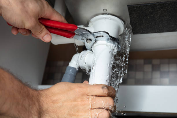 Best Flooded house restoration  in Forest Park, OH