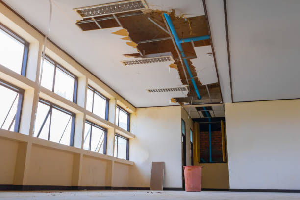 Best 24/7 water damage repair  in Forest Park, OH
