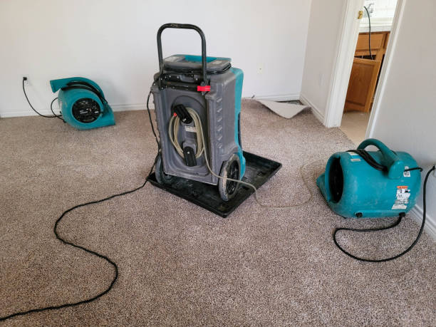 Best 24-hour water damage restoration  in Forest Park, OH