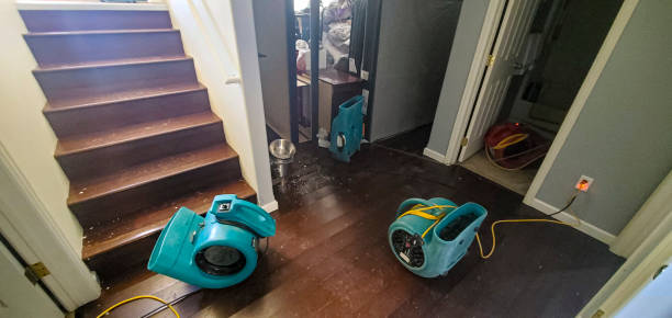 Best Water damage cleanup near me  in Forest Park, OH