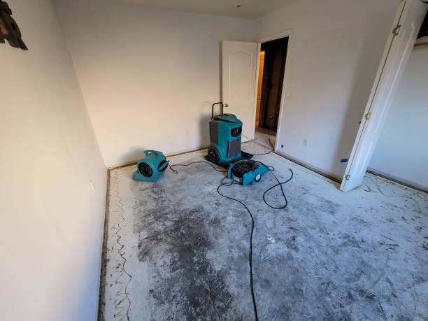 Best Ceiling water damage repair  in Forest Park, OH