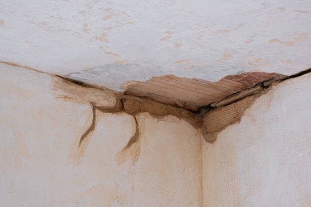 Best Residential water damage restoration  in Forest Park, OH