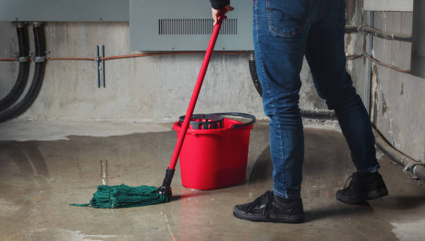 Best Emergency water extraction  in Forest Park, OH