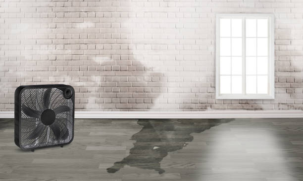 24/7 water damage repair in Forest Park, OH