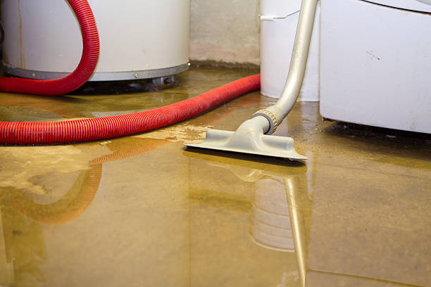 Best Emergency water damage restoration  in Forest Park, OH