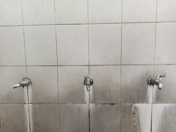 Sewage cleanup and water damage restoration in Forest Park, OH