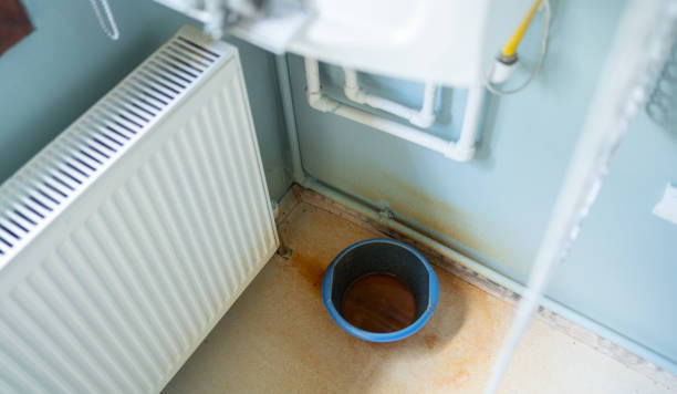 Best Flooded house restoration  in Forest Park, OH