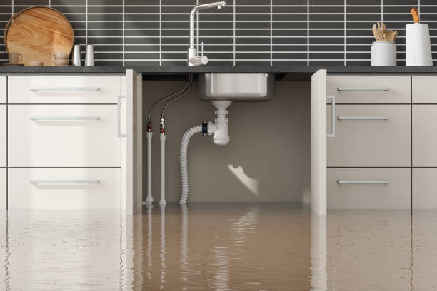Best Flood damage cleanup  in Forest Park, OH