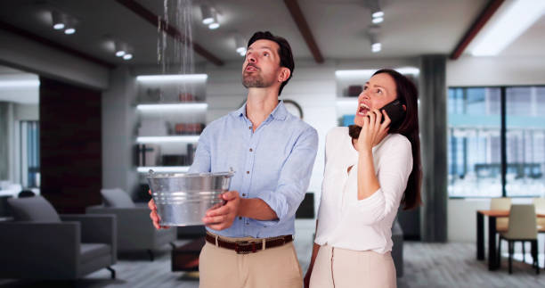 Reliable Forest Park, OH Water damage restoration Solutions