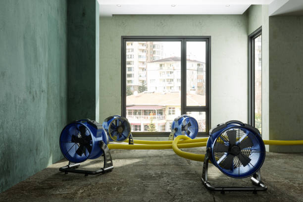 Best Flood restoration services  in Forest Park, OH