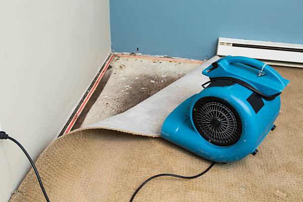 Best Commercial water damage restoration  in Forest Park, OH